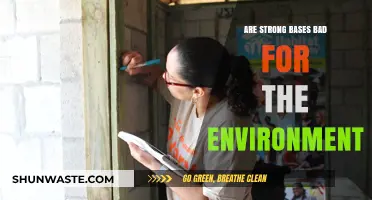 Strong Bases and Environmental Impact: Uncovering the Hidden Ecological Risks