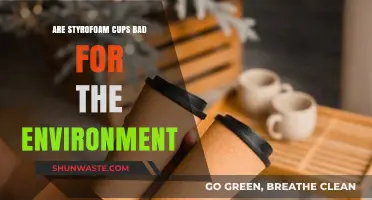 Styrofoam Cups: Environmental Impact and Sustainable Alternatives Explored