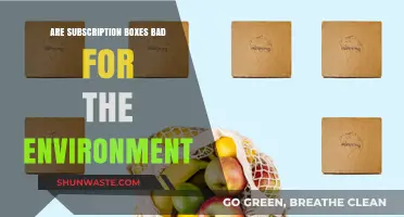 Subscription Boxes: Eco-Friendly Trend or Environmental Hazard?