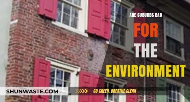 Suburban Sprawl: Environmental Impact and Sustainable Solutions Explored