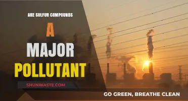The Danger of Sulfur Compounds: Major Pollutant?