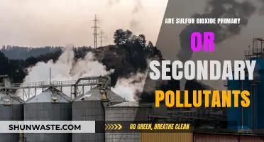 Sulfur Dioxide: Primary or Secondary Pollutant?