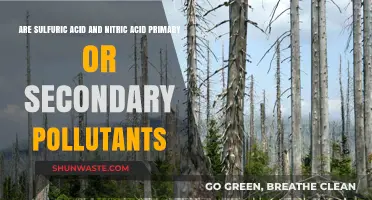 Understanding Acid Pollutants: Primary or Secondary?
