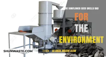 Sunflower Seed Shells: Eco-Friendly or Environmental Hazard?