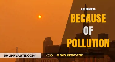 The Beauty of Sunsets: Pollution's Silver Lining