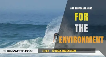 Eco-Friendly Waves: The Environmental Impact of Surfboards Explained