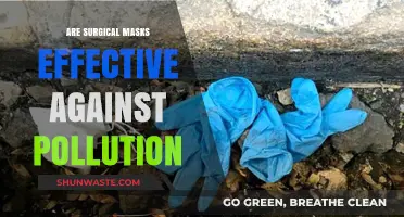 Surgical Masks: Effective Pollution Protection?