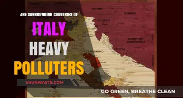 Italy's Neighbours: Polluters or Not?
