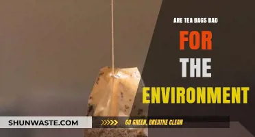 Tea Bags and the Environment: Uncovering Their Hidden Ecological Impact