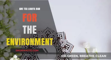 Eco-Friendly Lighting: Are Tea Lights Harming Our Planet?