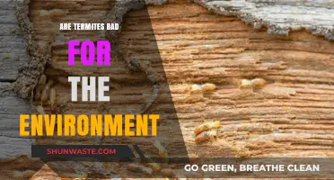 Are Termites Eco-Friendly? Uncovering Their Environmental Impact and Role