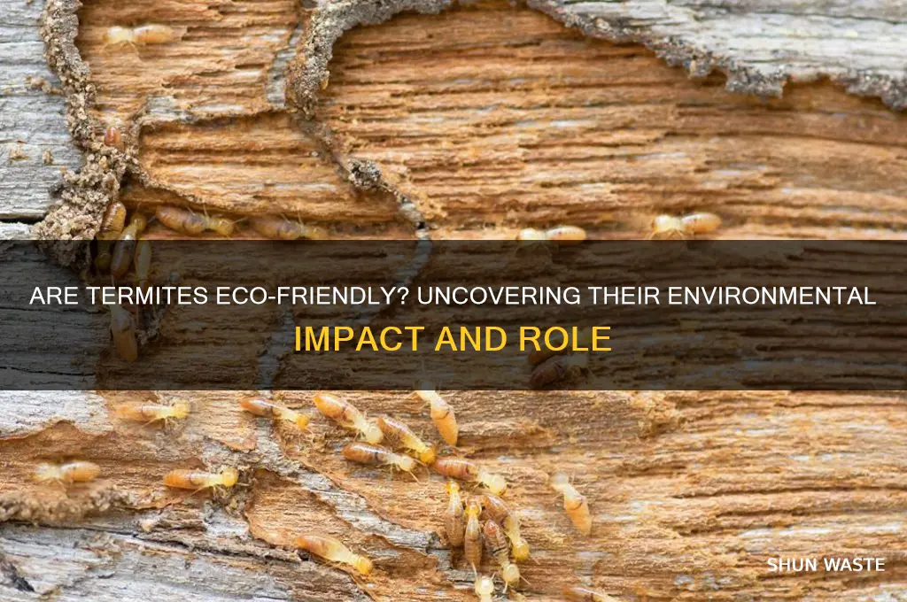 are termites bad for the environment