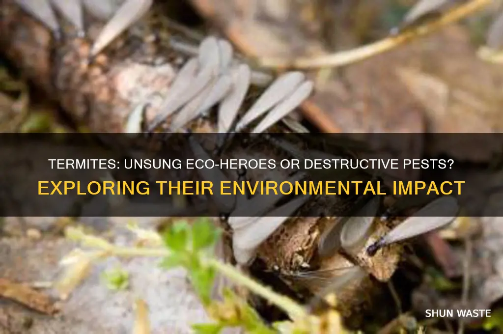 are termites good for the environment