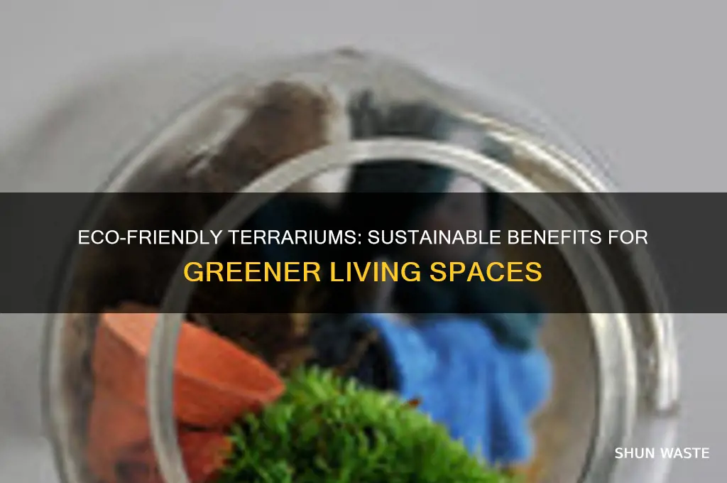are terrariums good for the environment