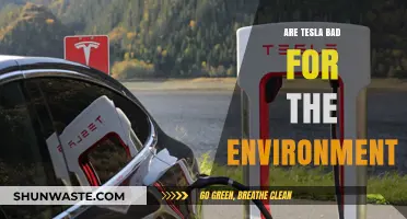 Are Teslas Eco-Friendly? Uncovering the Environmental Impact of Electric Vehicles