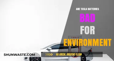 Tesla Batteries: Eco-Friendly or Environmental Hazard?