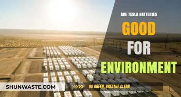 Tesla Batteries: Eco-Friendly Power or Environmental Trade-Off?