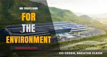 Tesla's Environmental Impact: Green Revolution or Overhyped Solution?