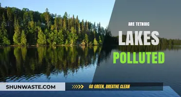 The Pollution of Tectonic Lakes: A Concern?