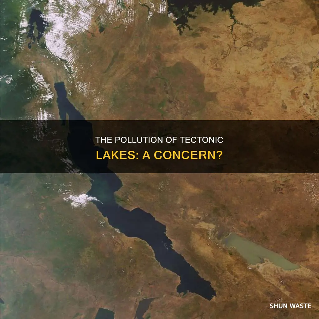 are tetnoic lakes polluted