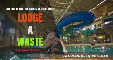 Are Great Wolf Lodge Attraction Passes Worth the Cost?