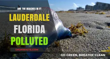 Fort Lauderdale's Beach Pollution Problem