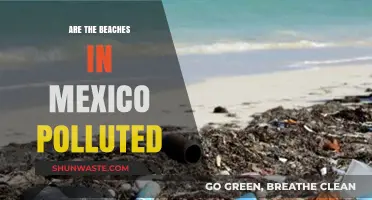 Mexico's Beaches: Polluted Paradise?