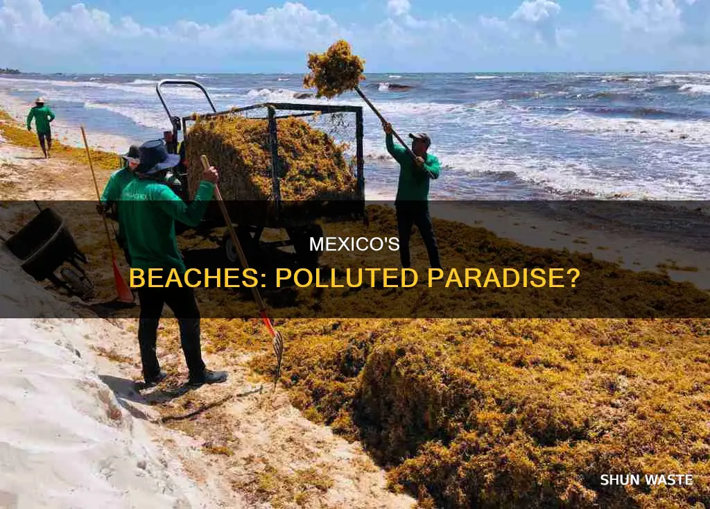 are the beaches in mexico polluted