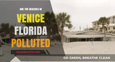 Venice, Florida Beaches: Polluted Paradise?
