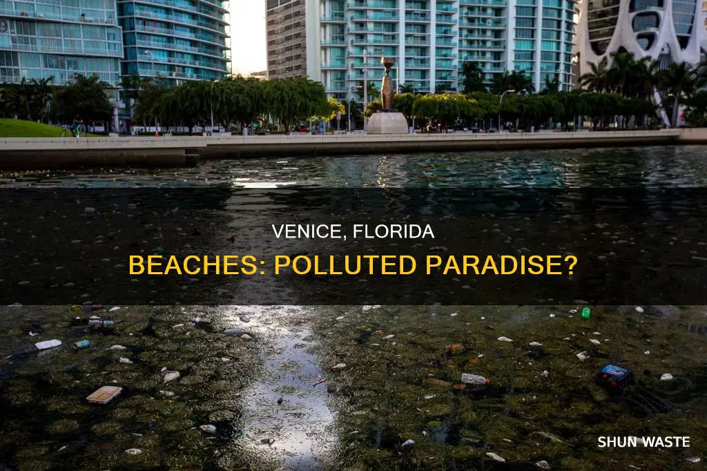 are the beaches in venice florida polluted