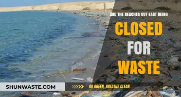 Are Eastern Beaches Shutting Down Due to Waste Pollution?
