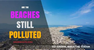 The Polluted Beach Crisis: Are We Doing Enough?