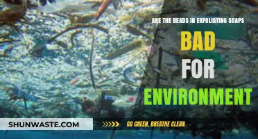 Exfoliating Soaps: Are Plastic Beads Harming Our Environment?