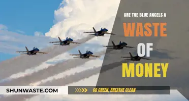 Blue Angels: Worthy Investment or Costly Military Spectacle?