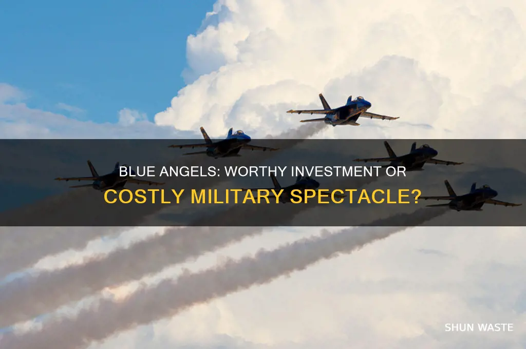 are the blue angels a waste of money