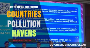Pollution Havens in Central and Eastern Europe?