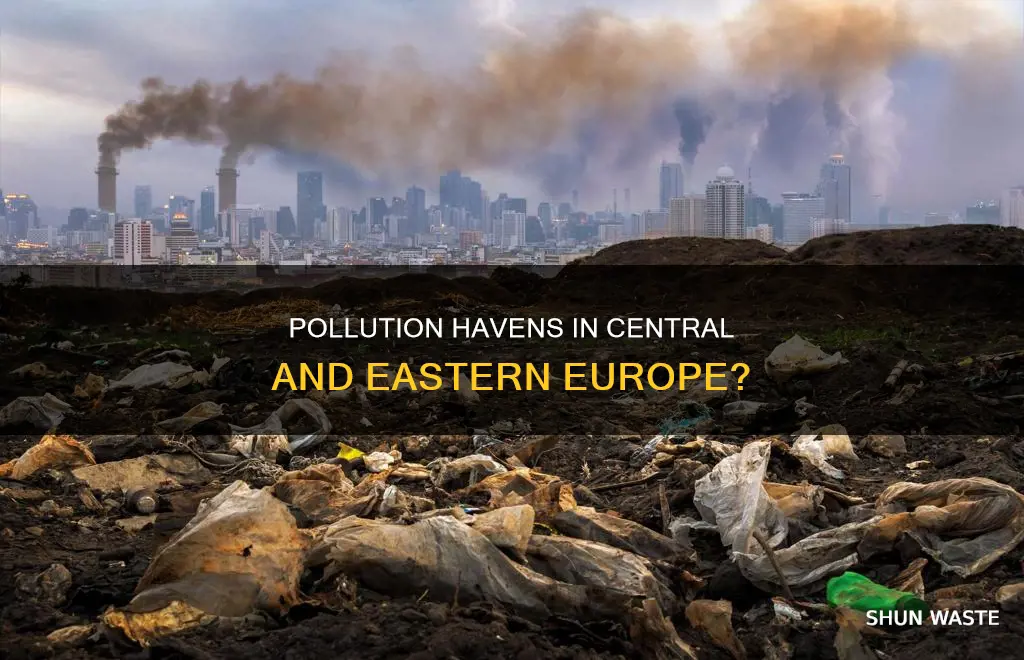 are the central east european countries pollution havens