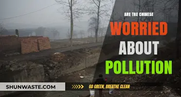 The Chinese Pollution Concern: What's the Real Story?