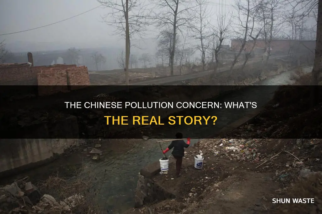 are the chinese worried about pollution