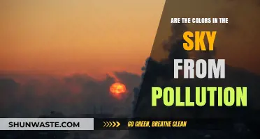 How Pollution Turns the Sky into a Canvas