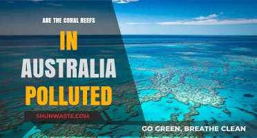 Australian Coral Reefs: Pollution's Impact