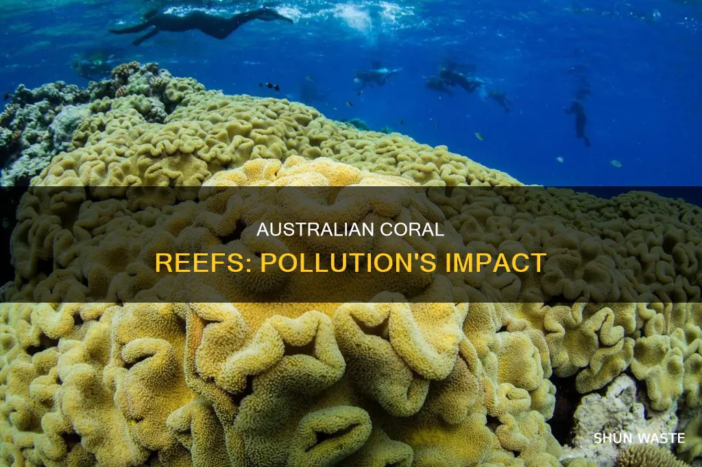 are the coral reefs in australia polluted