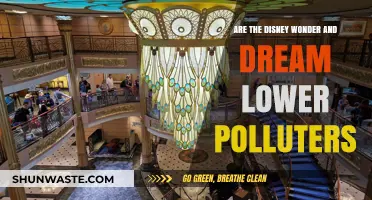 Disney Cruise Line's Eco-Friendly Ships: Dream and Wonder