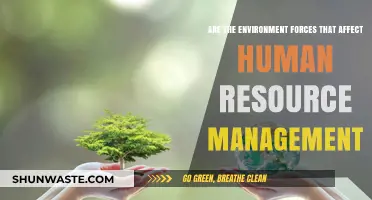 Environmental Forces Shaping Human Resource Management: Challenges and Strategies