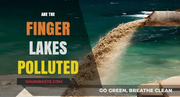 Finger Lakes Pollution: What's the Real Story?