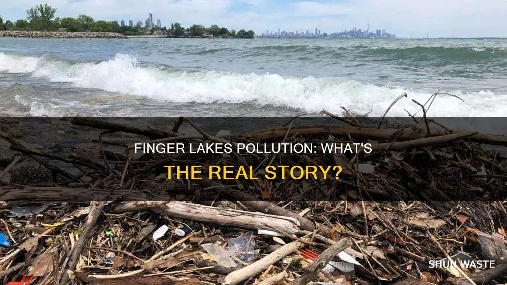 are the finger lakes polluted