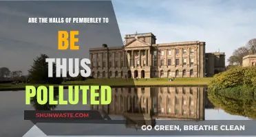 Pemberley's Halls: A Stain on the Family Name?
