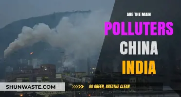 Who Pollutes More: China or India?