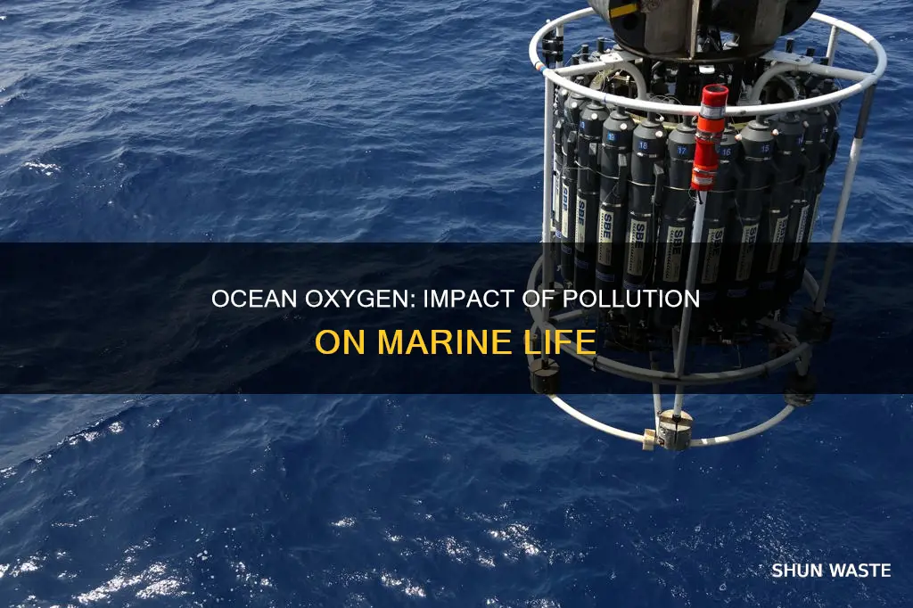 are the ocean waters well oxygenated with so much pollution
