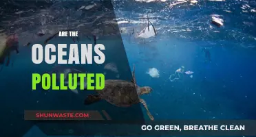 The Ocean's Plight: Pollution's Impact